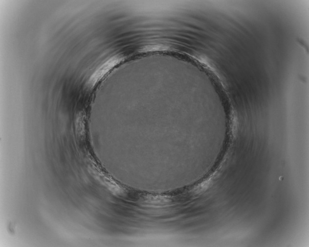 X0000103270921200808291236