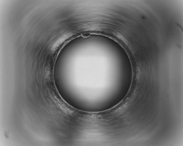 X0000103270922200808291236