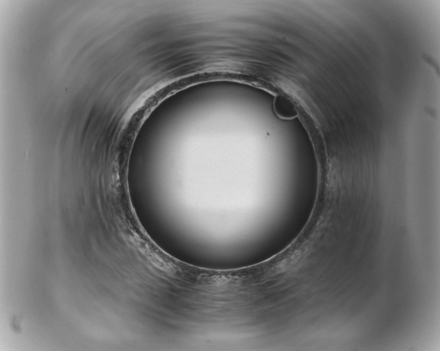 X0000103270923200808291236