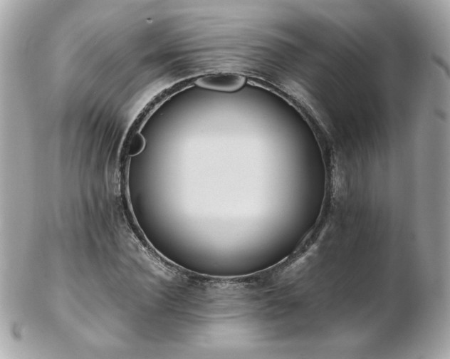 X0000103270924200808291236