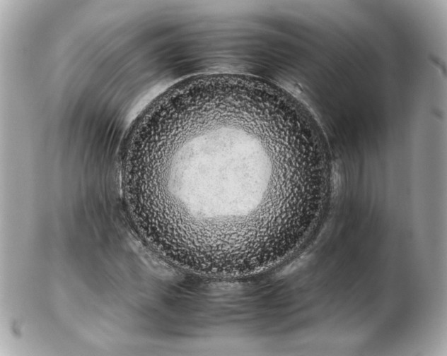 X0000103270925200808291236