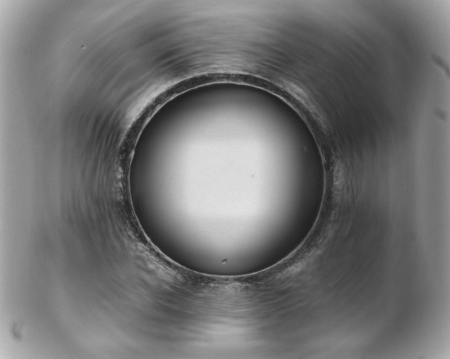 X0000103270926200808291236