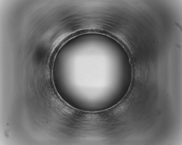 X0000103270927200808291236