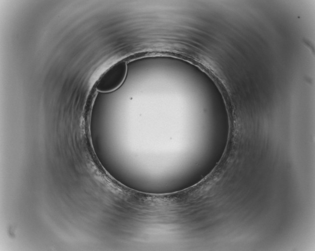 X0000103270928200808291236