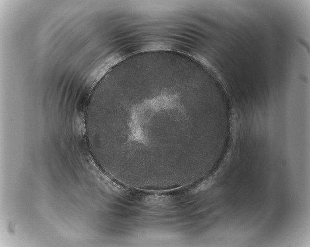 X0000103270929200808291236