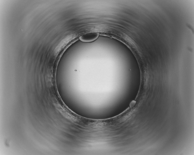 X0000103270930200808291236