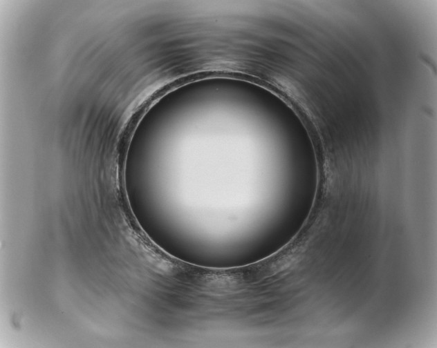 X0000103270931200808291237