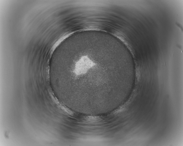 X0000103270933200808291237