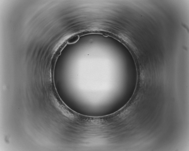 X0000103270934200808291237