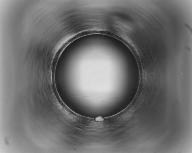 X0000103270935200808291237