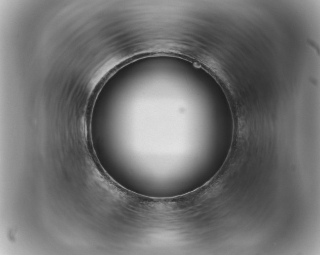 X0000103270936200808291237