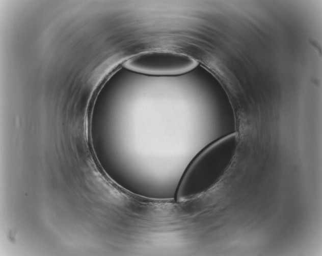 X0000103270940200808291237