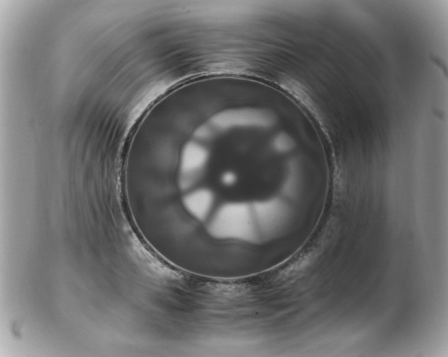 X0000103270941200808291237