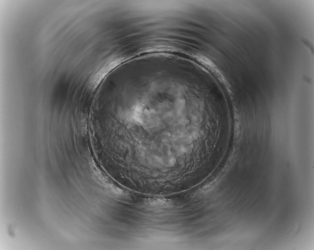 X0000103270945200808291237