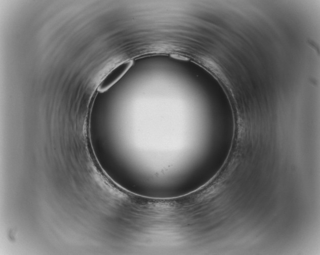 X0000103270946200808291237