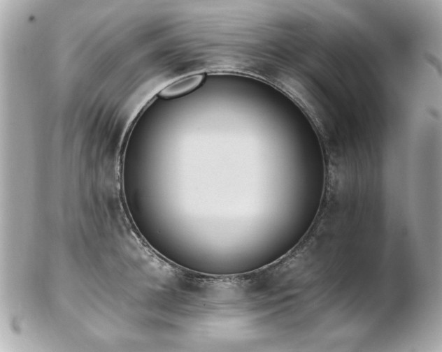 X0000103270948200808291237