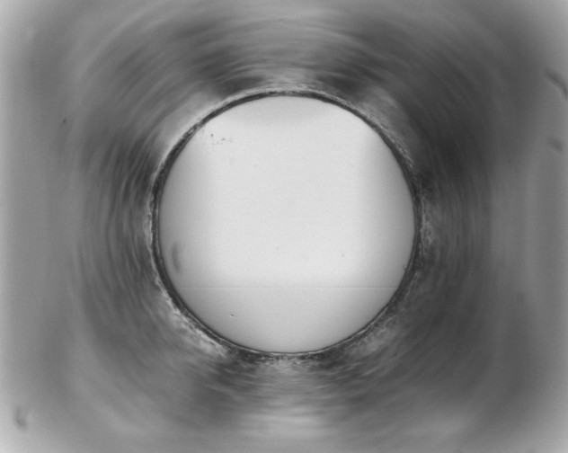 X0000103270950200808291237