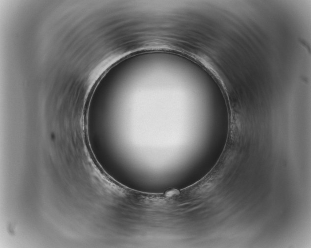 X0000103270951200808291237