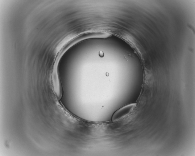 X0000103270952200808291237