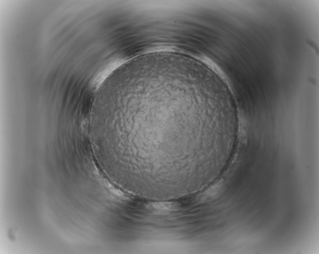 X0000103270953200808291237