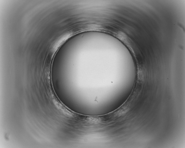 X0000103270954200808291237