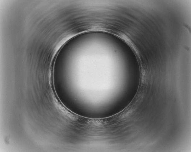 X0000103270955200808291237