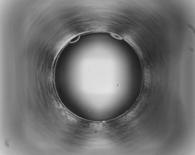 X0000103270956200808291237