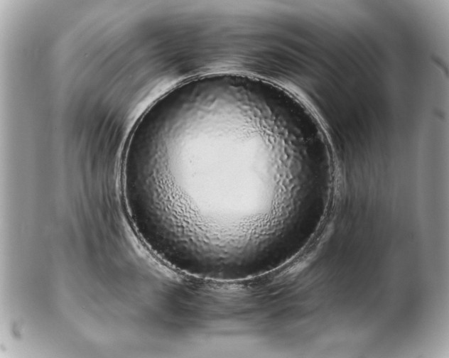 X0000103270957200808291237