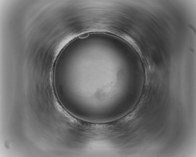 X0000103270958200808291237