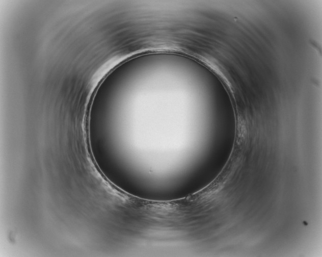 X0000103270959200808291237