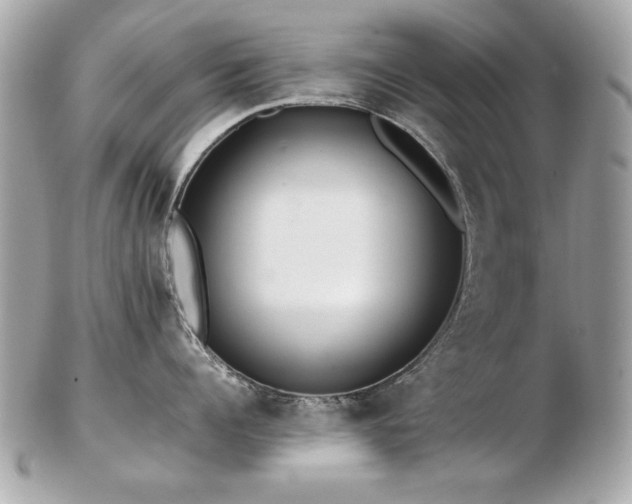 X0000103270960200808291237