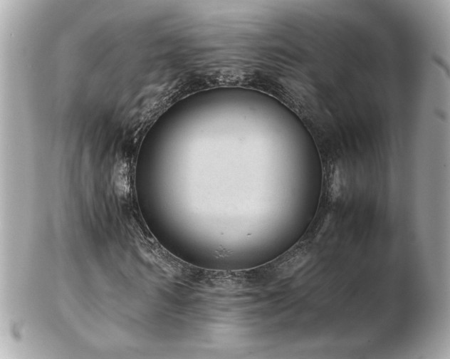 X0000103270962200808291236