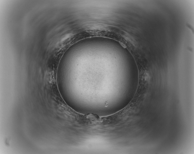 X0000103270965200808291236