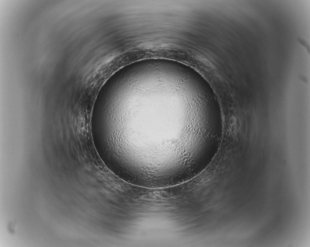 X0000103270966200808291236