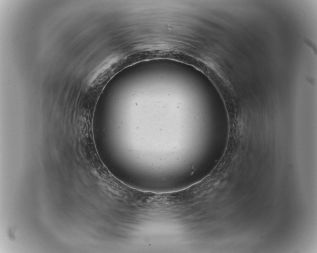 X0000103270967200808291236