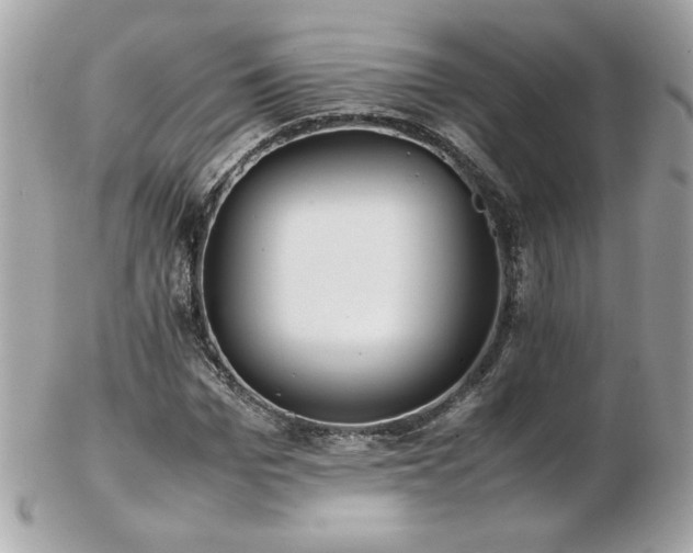 X0000103270969200808291236