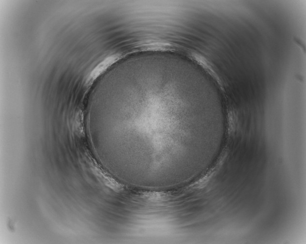 X0000103270970200808291236