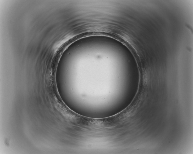 X0000103270971200808291236