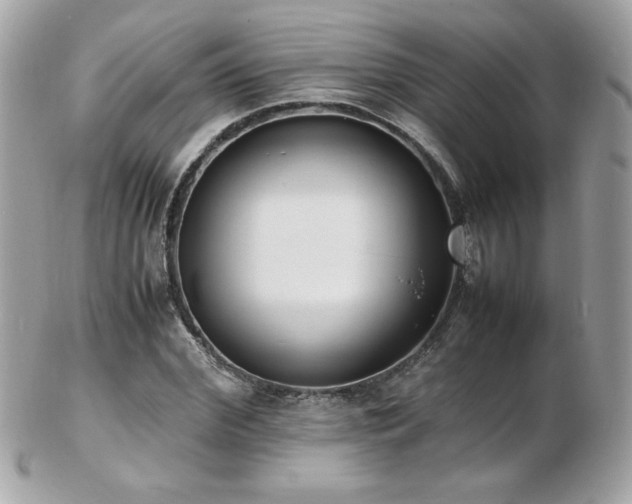 X0000103270972200808291236