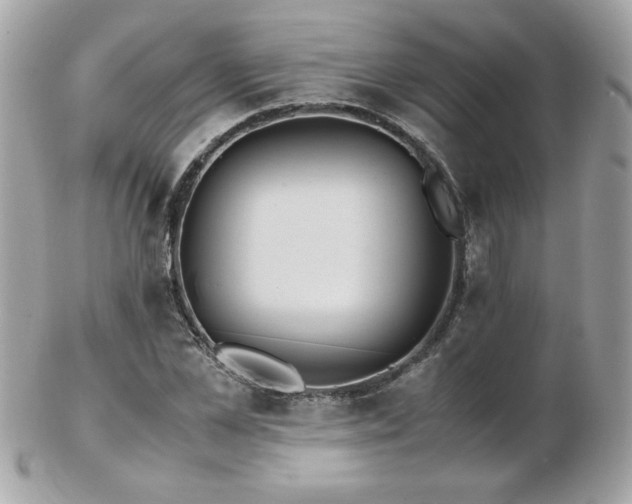 X0000103270973200808291236