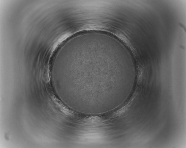 X0000103270974200808291236