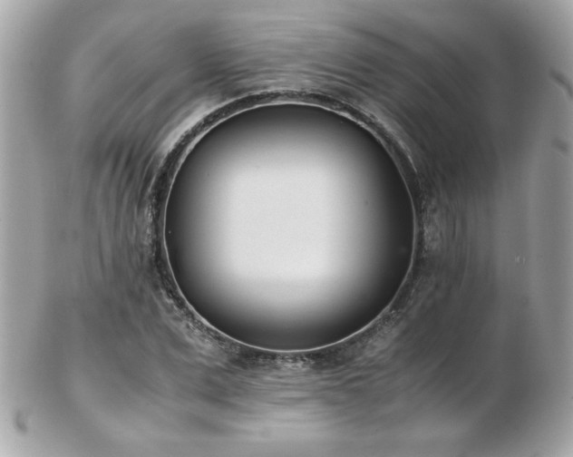 X0000103270975200808291236