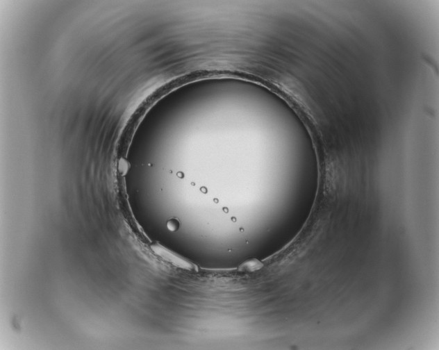 X0000103270976200808291236