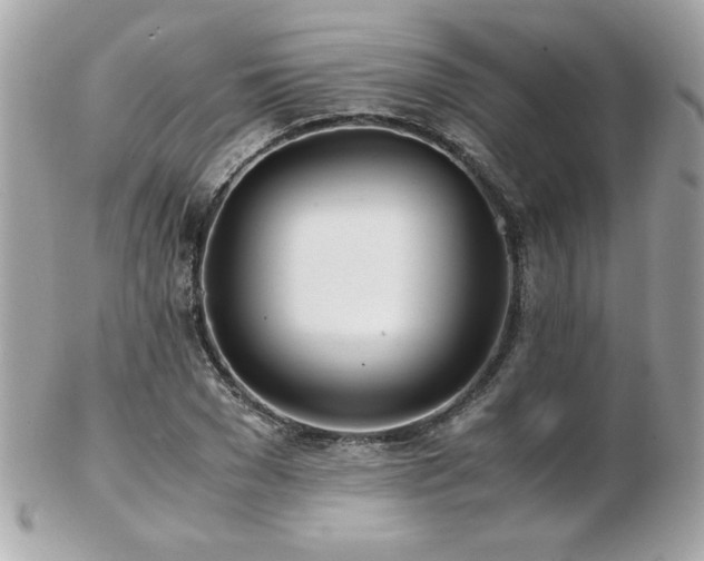 X0000103270977200808291236