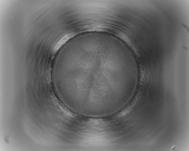 X0000103270978200808291236