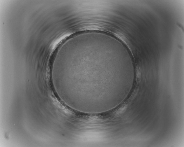 X0000103270979200808291236