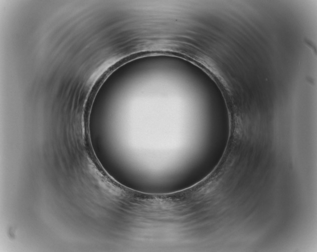 X0000103270980200808291236