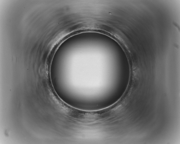 X0000103270981200808291236