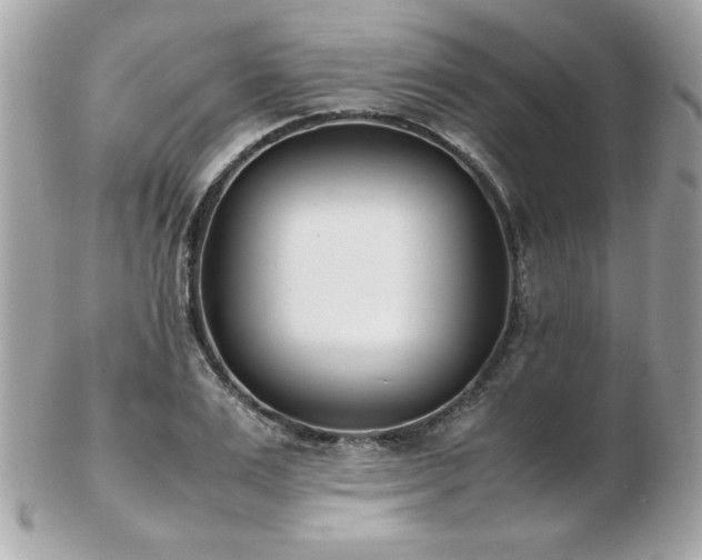 X0000103270983200808291236