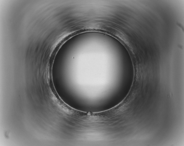 X0000103270984200808291236